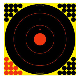 Birchwood Casey Shoot-N-C 17.25-inch Bull's-Eye Target with self adhesive backing